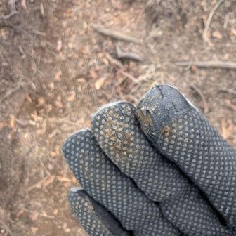 なんせ砂地で急勾配なもんで滑る滑る！掴む岩もないもんで…
ハイハイ👶戦法の結果、手袋と膝から下は砂だらけなりました