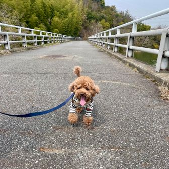 ココは一旦下山して次の⛰️へ向けて
少々アスファルトの上を歩きます💓

普段走ってる道です