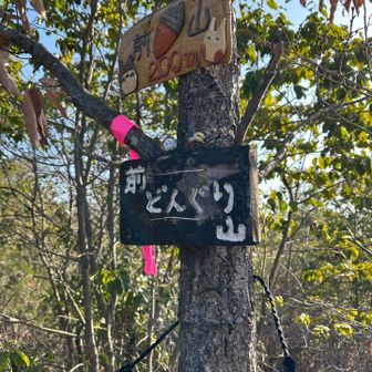 「前どんぐり山」の山頂標も可愛い！