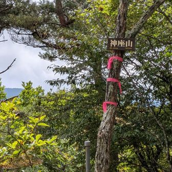 トビス峠から登り返したところが神座山（じんざやま）。山岳信仰の山名ですね。ここから釈迦ヶ岳へ連なる稜線を東へ向かって歩いていきます。。