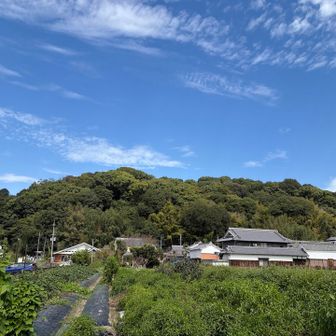 天香久山へ向かいます