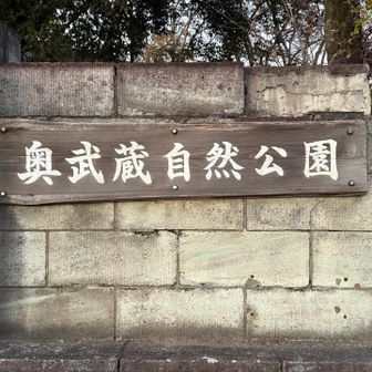 こっから飯能駅まで思った以上に歩きました・・・ちゃんと調べなかった私がいけないのですがね。バスを待つのは嫌い（笑）バスがあるのかもわかりません（笑）