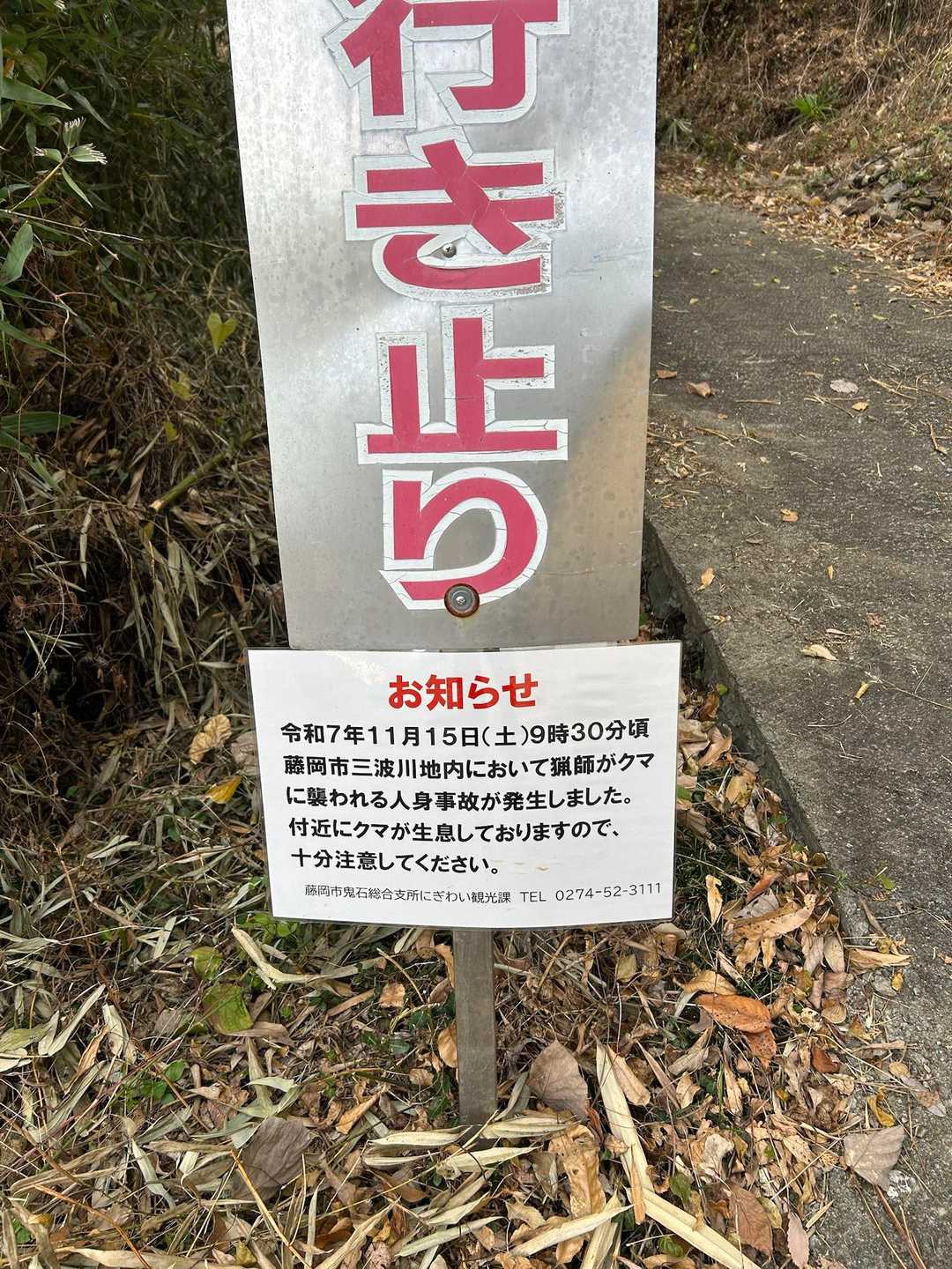 弁天山 往復コースの写真