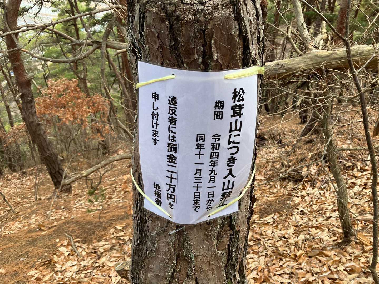 葛尾山-五里ヶ峯 周回コースの写真