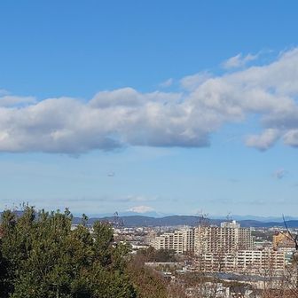 ロバの背山山頂からの景色
白い山が御嶽山だそうです