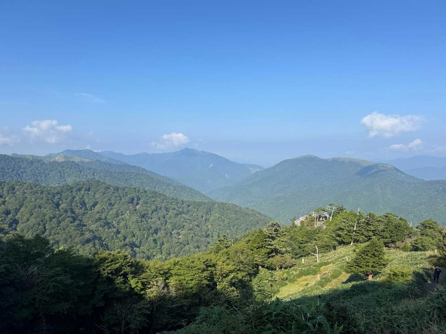 みうね…この夏も行ってない😩
誘惑に🌸負けまくって📷
始発リフトにはちょっと負けました😤
