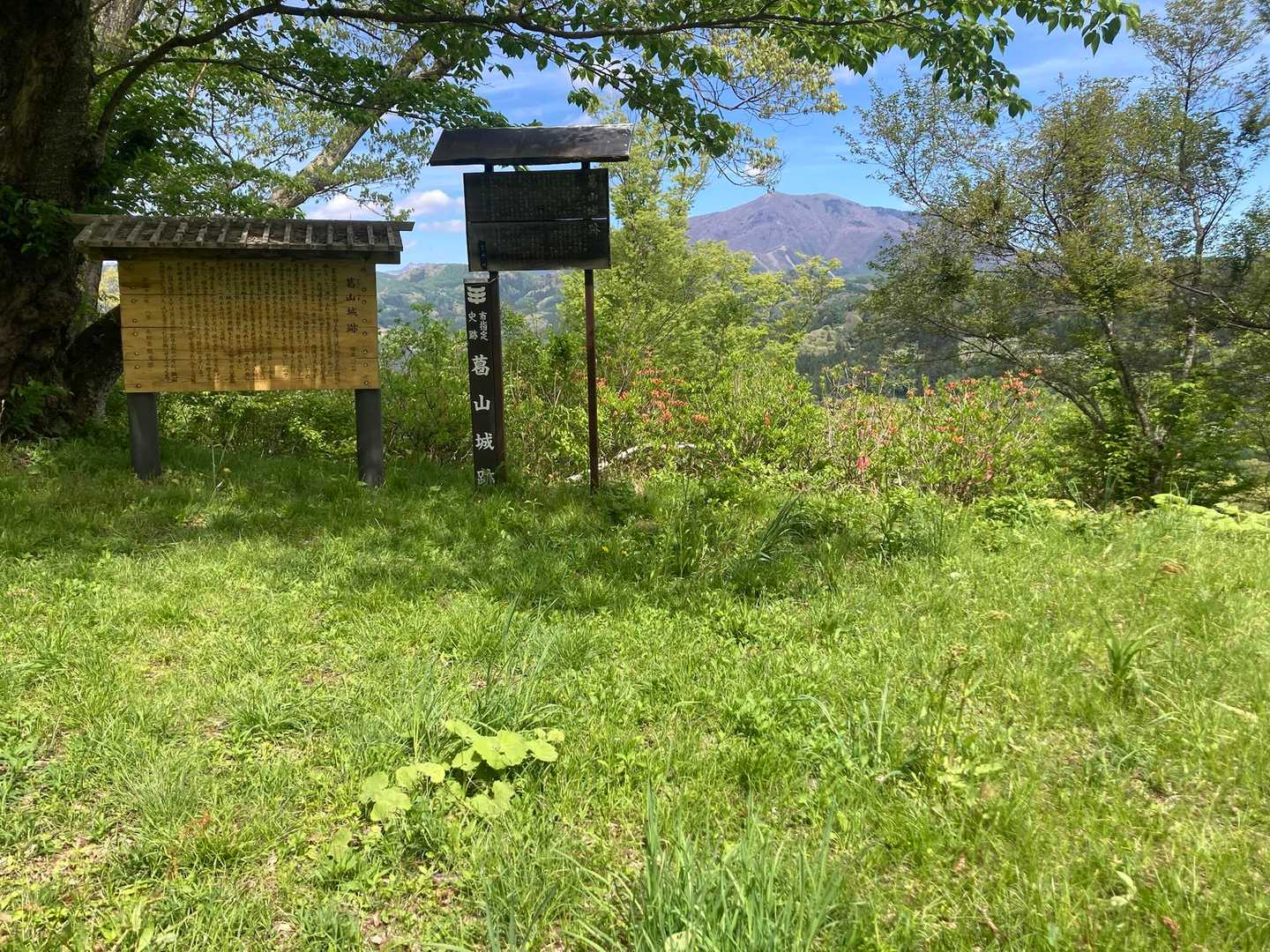 🚩葛山に到着。かなり草が増えました🌱
ここで、4組の方々と楽しくお話ししました♪