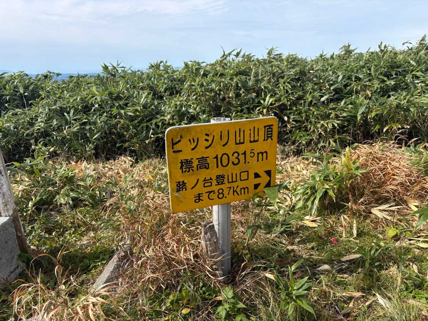 やっとこ到着