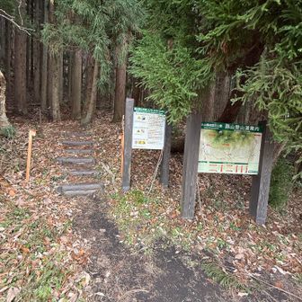 はーい🙋
降りてきました