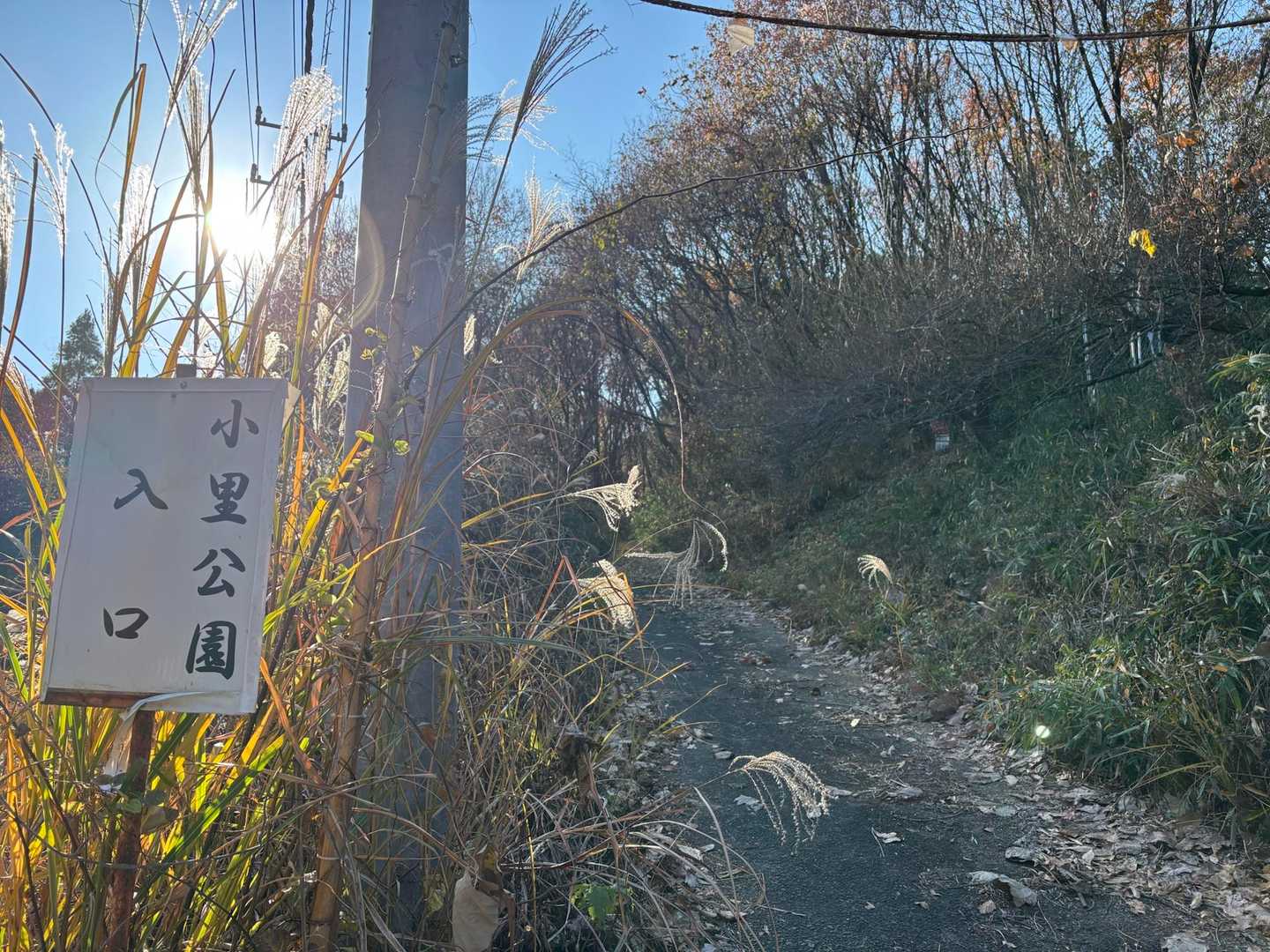 登山口はこちら。
小里公園とのことですが、公園感はないです😅