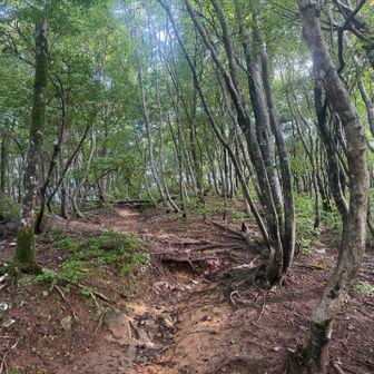 幸い、杞憂で青空が見え🩵
まずは一安心