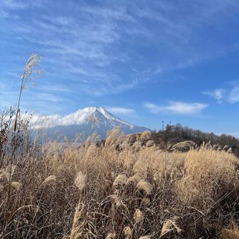 富士山を眺めながら大平山に向かいます