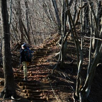ところどころ整備された急登があります。