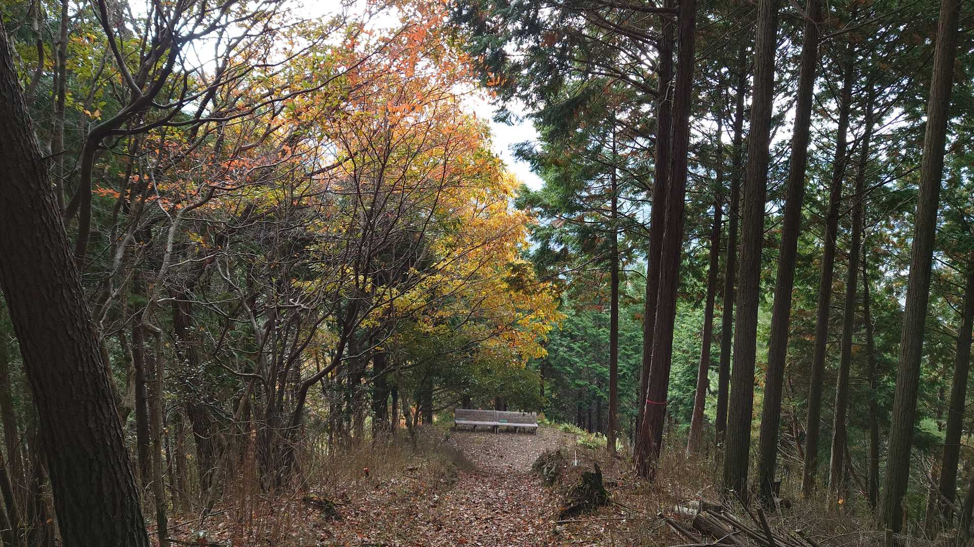 これはアレですね。休憩している人と目が合ってしまうヤツですね。