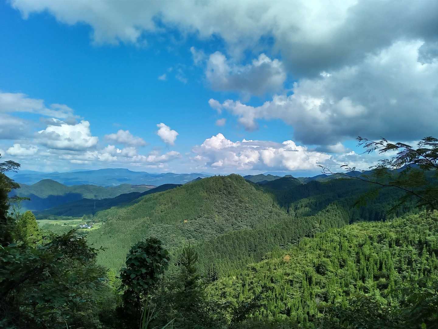 奥日田林道からの景観。