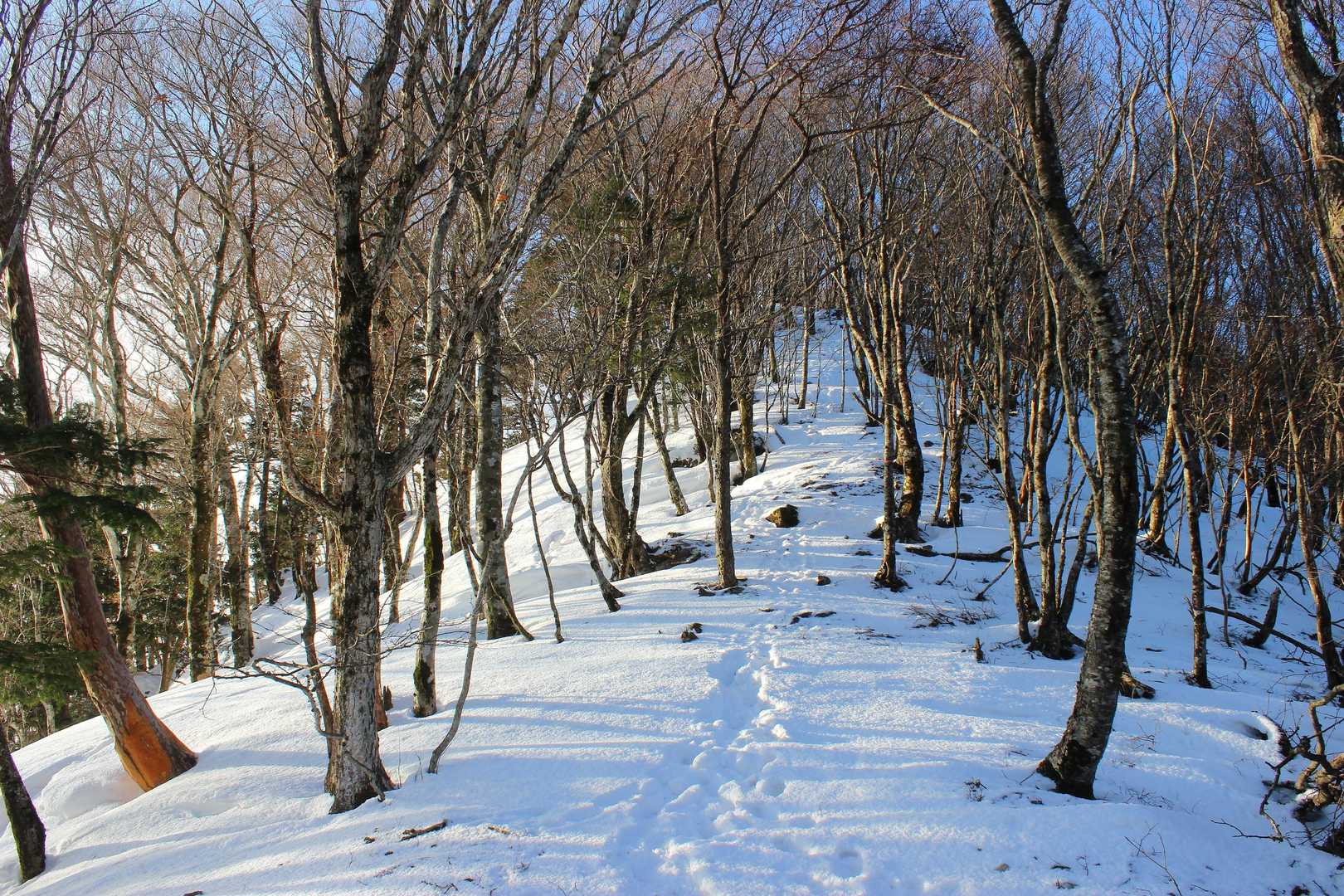 登山口から鉄山山頂までは標高差750m、鉄山は勝負塚山・白鬚岳とともに大峰三大急登のひとつとされるだけあって急登が続きます。