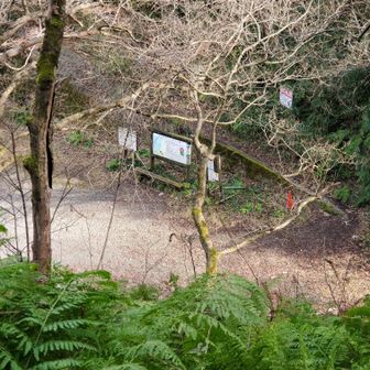 五ヶ峠登山口が見えてきました。