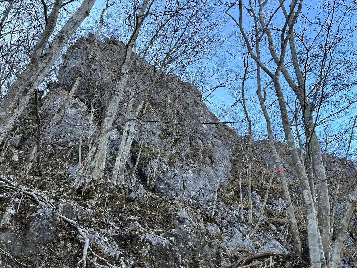 一般でも巨大な石が
ゴロゴロですね