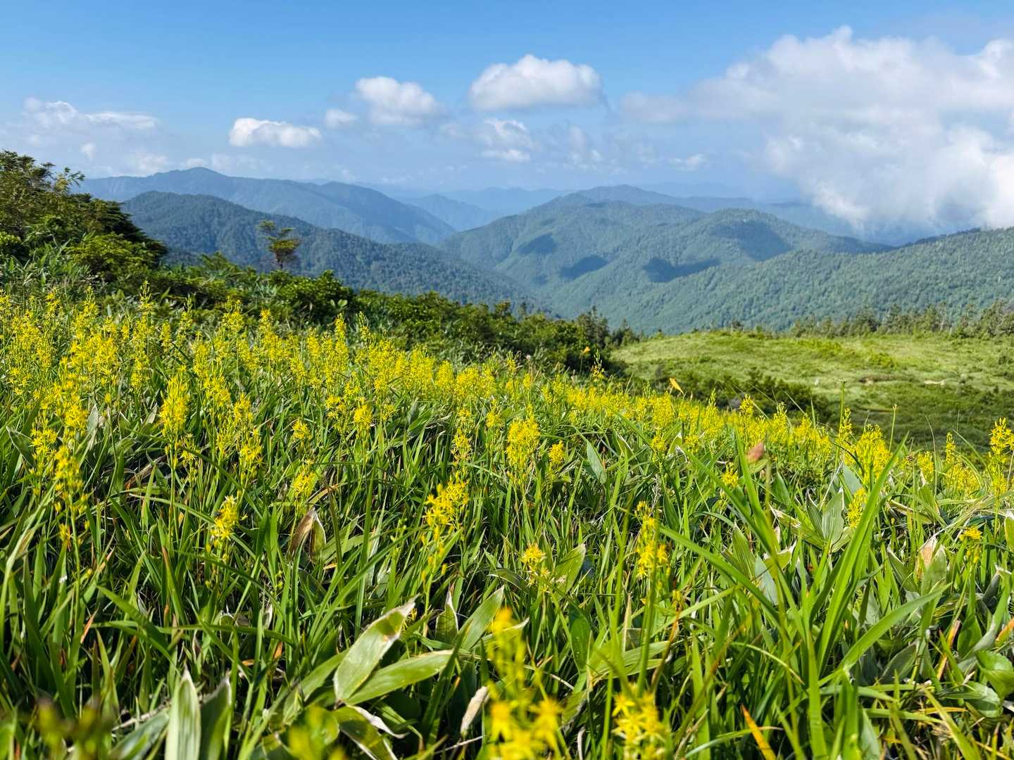北ノ俣岳登山口-寺地山-北ノ俣岳 往復コースの写真