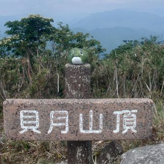 登頂⛰️

沢には超ドでかいカエルが沢山いたけど、山頂ではカエルの置き物が待ってた😆
カエル王国(?_?)