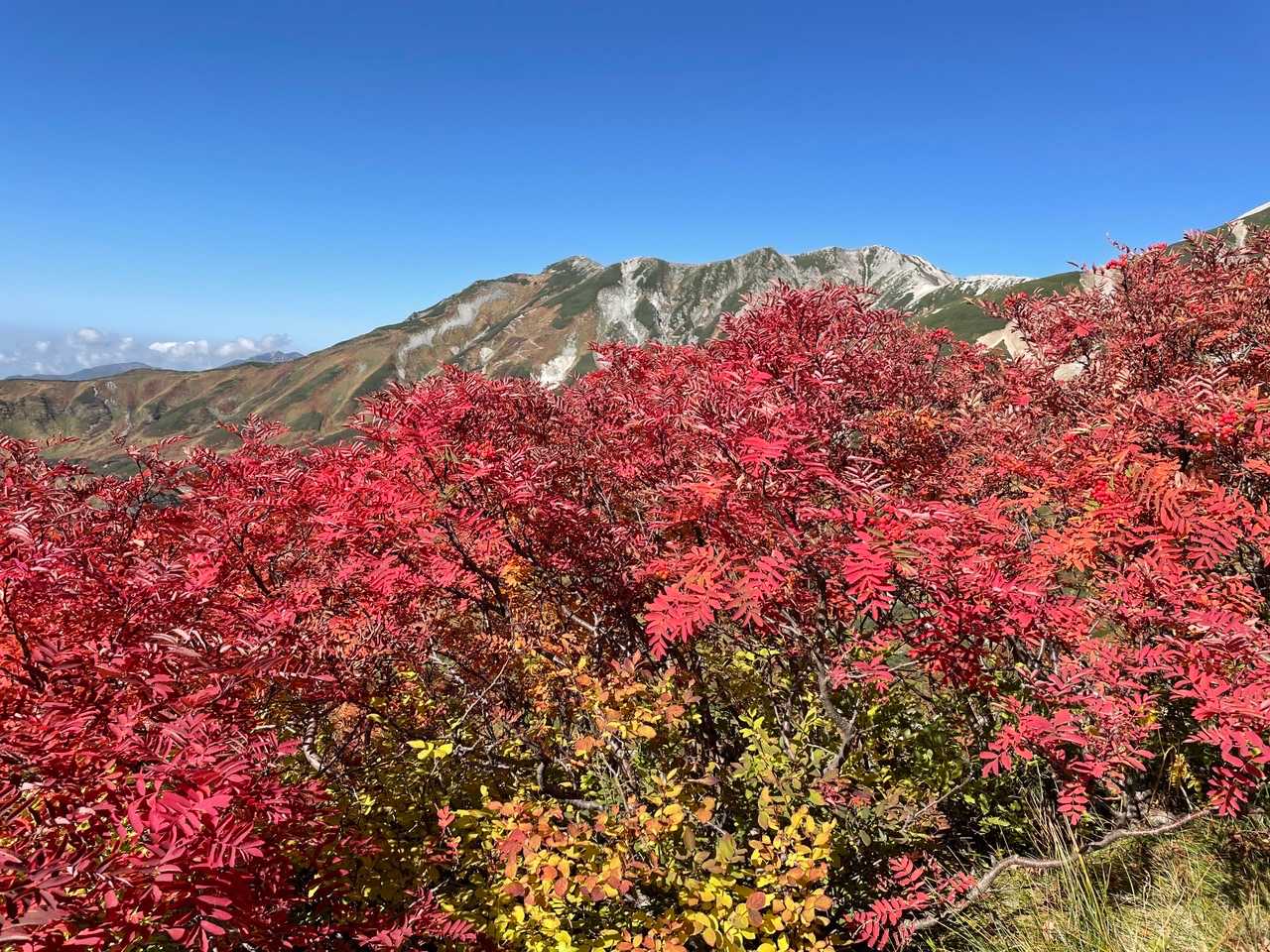 立山室堂ターミナル-一ノ越-立山-浄土山 周回コースの写真