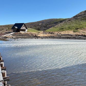 阿弥陀池の水面が、シャーベット状になっているのが間近にきて分かる