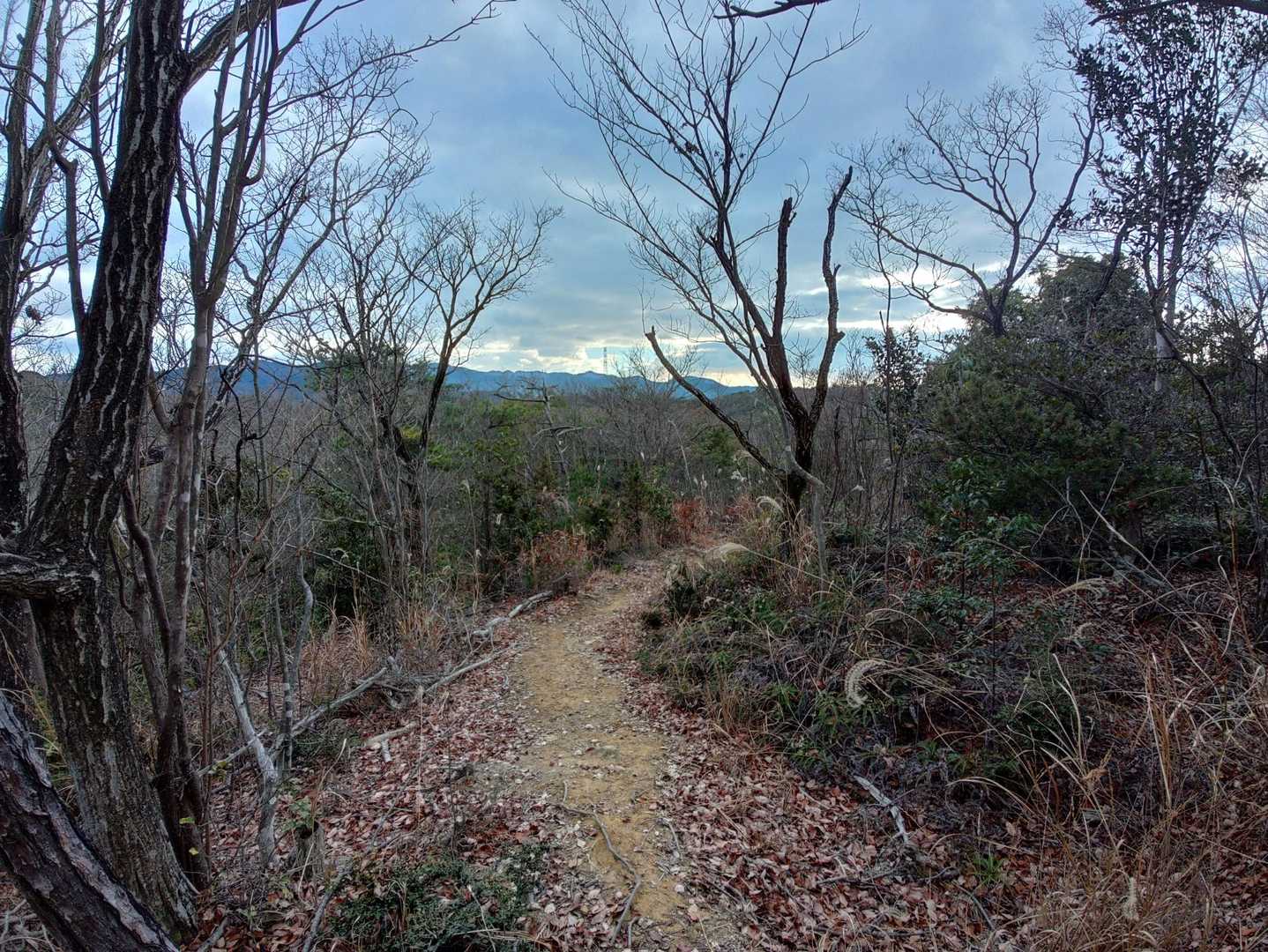 百丈岩入口-百丈岩-静ヶ池 周回コースの写真
