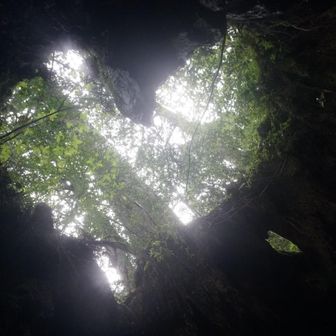 和温ちゃん♨️