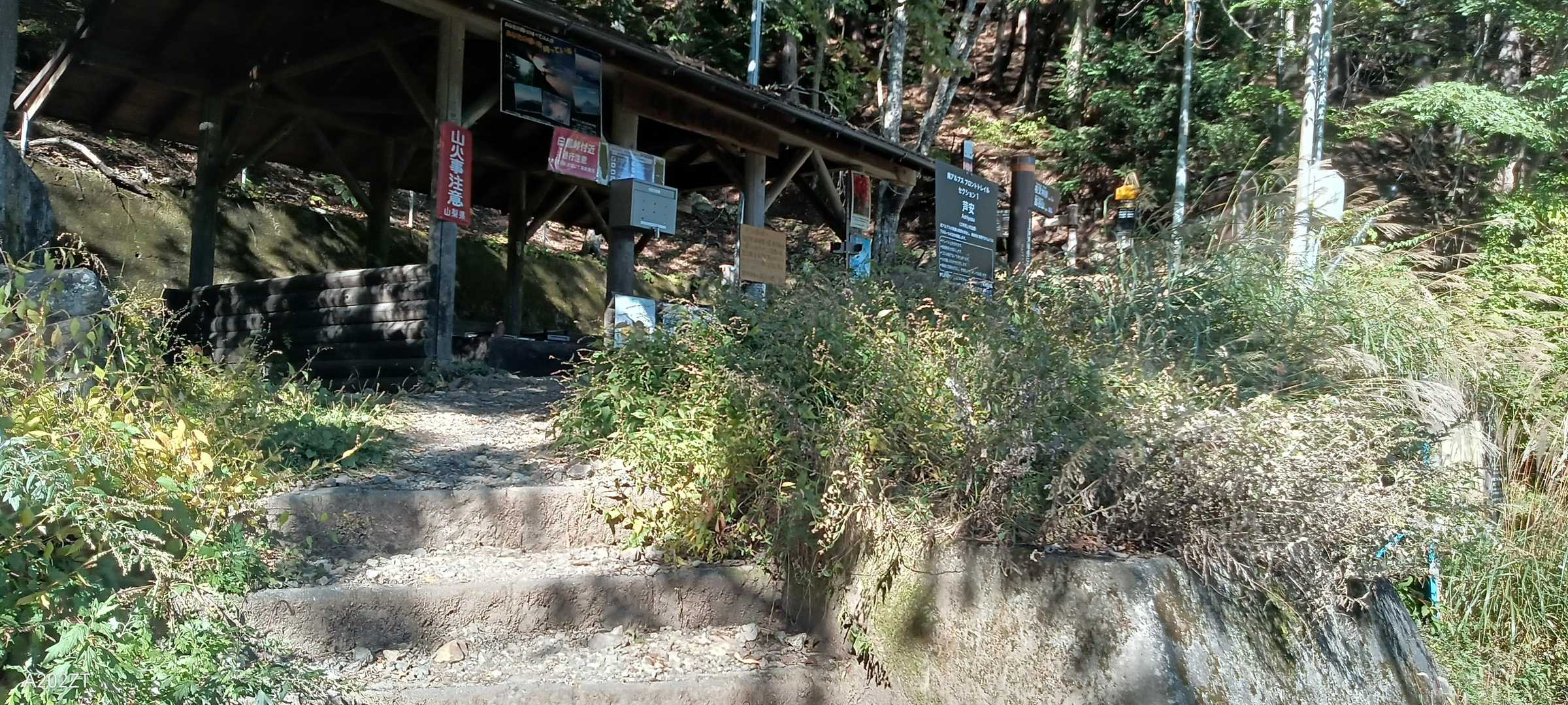 明るい時の登山口
こんな感じだったのね（笑）