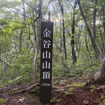 立派な金谷山山頂標柱✨