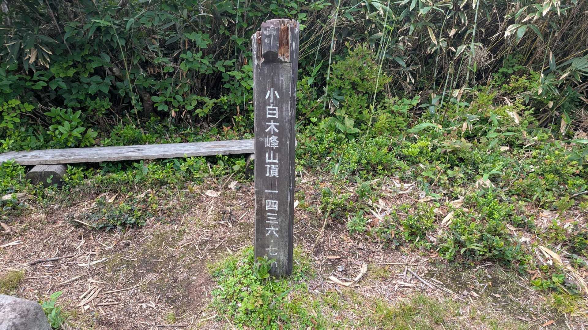 🙌小白木峰🙌