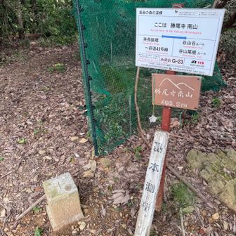 勝尾寺南山⛰️登頂しました！