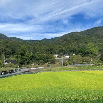 JR芸備線白木駅から見た白木山方面。白木山は見えません。