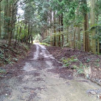 此処からスタート