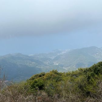 雲で霞んでました。