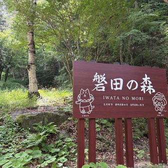簫ノ笛山登山口付近にて、まさかのしっぺい君。