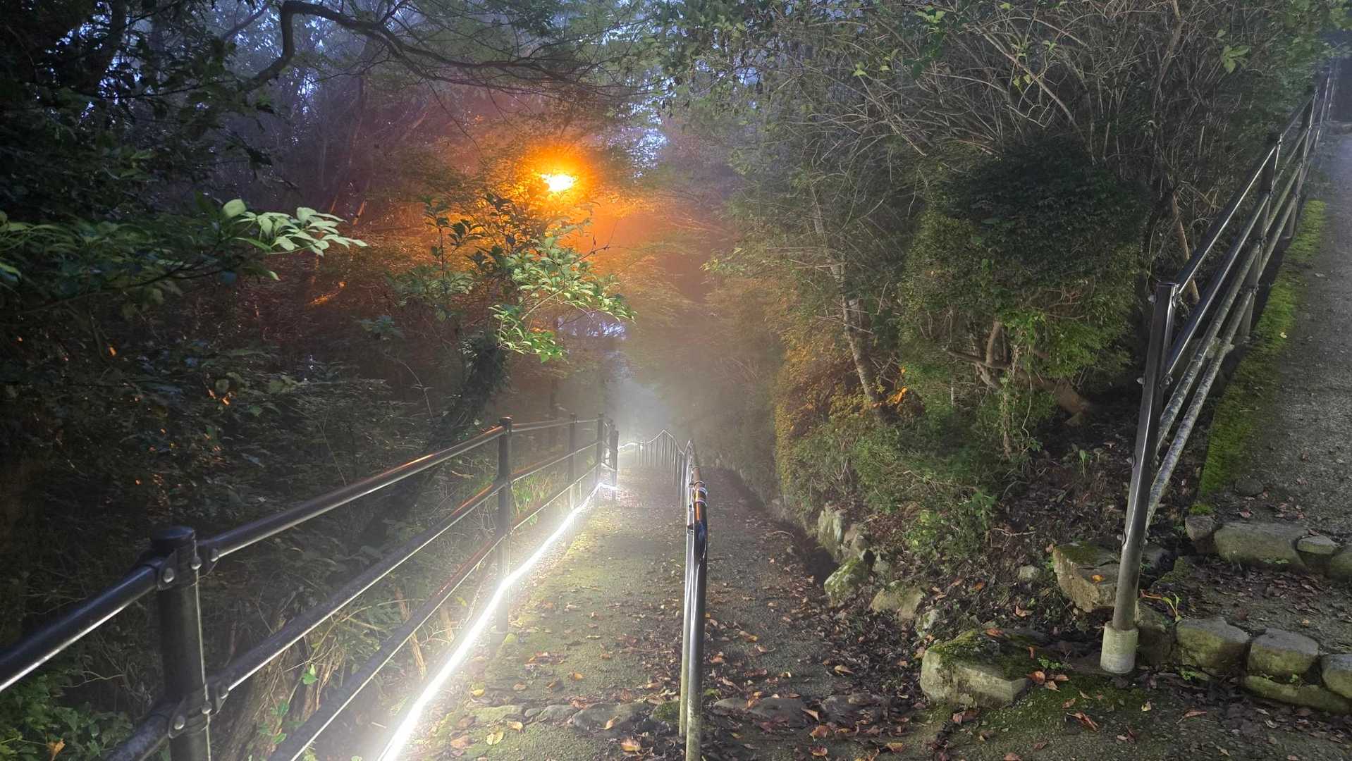 権現山-市の瀬峠 周回コースの写真