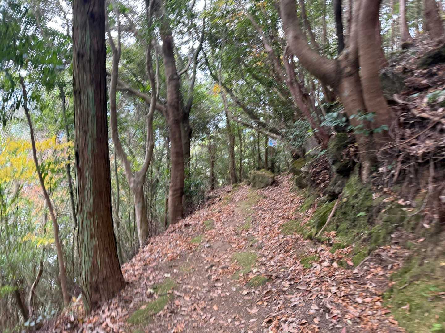 ここは走れる😊