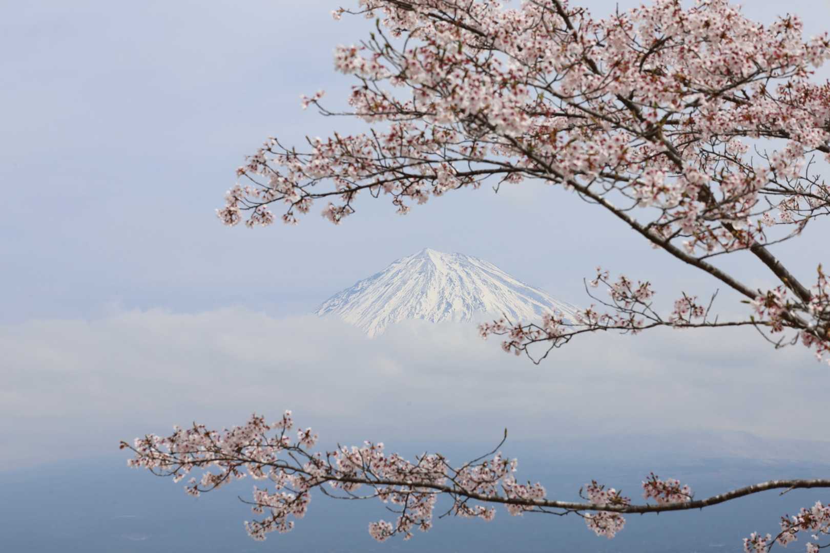 うっとり