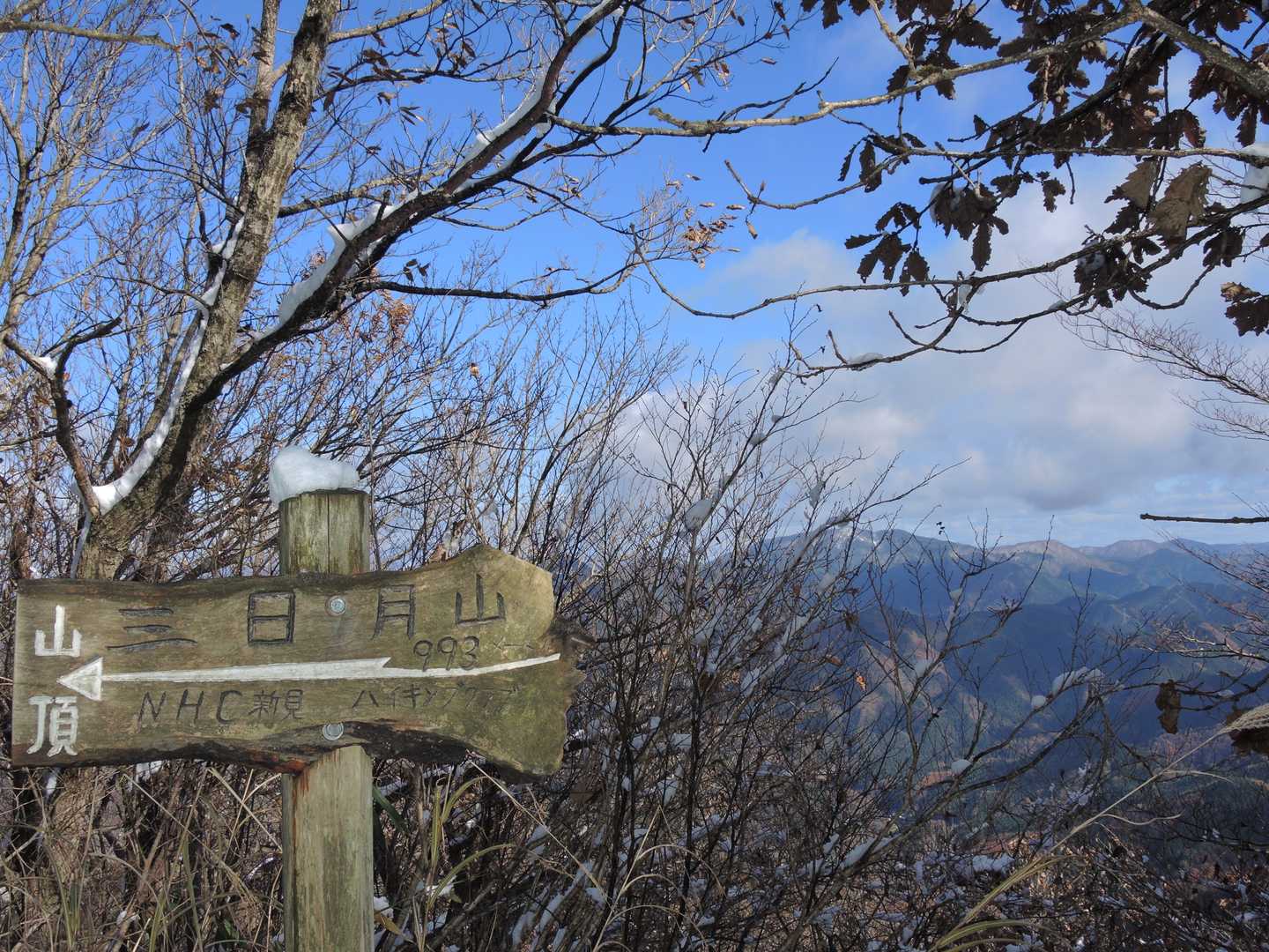 山頂かと思ったら肩、まだまだ先がありました。😱💦
木々の間から大山の姿が見えて、もうひと頑張りのパワーを貰います。😍