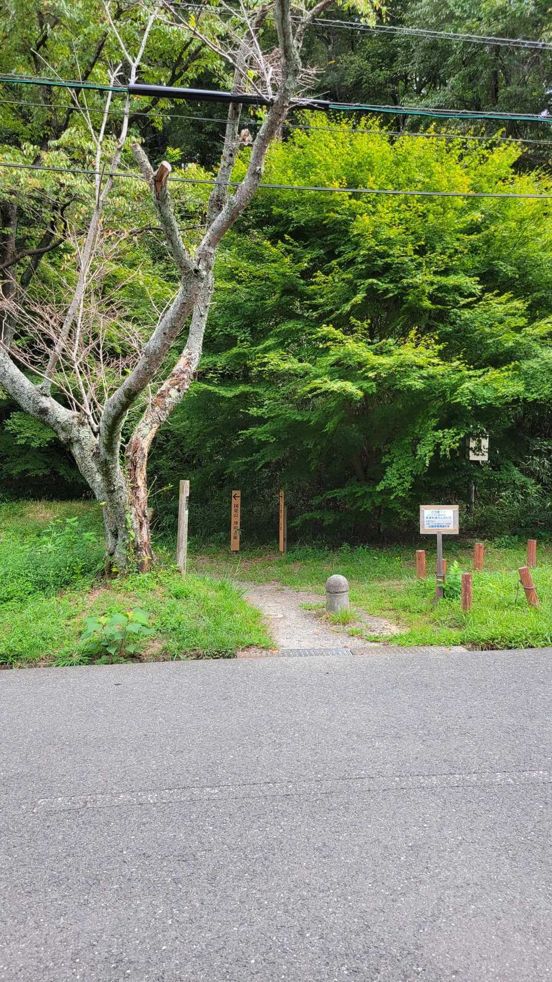 ここ最初に来たとこやん😨
駐車場なかったし