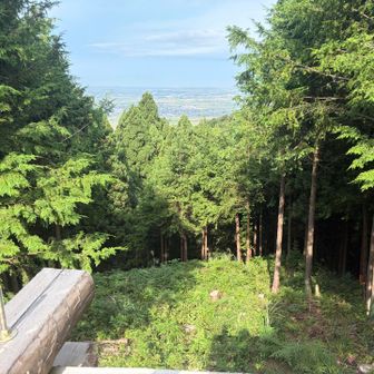 ヤグラに登るとあわら市？坂井市？の街並み