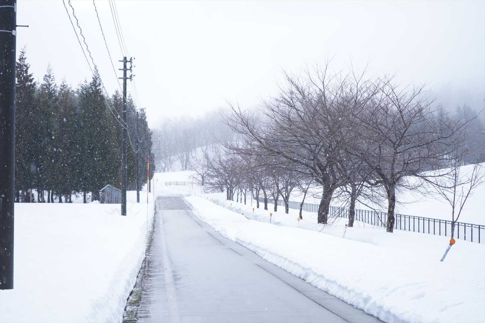 調整池横を歩く
雪が降ってきました❄️