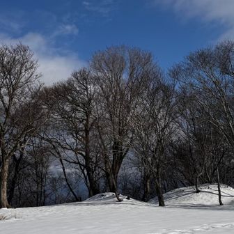 どんどん雲が動いて
すっかり青空に☀️