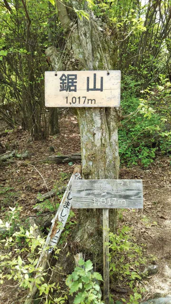 鋸山の写真