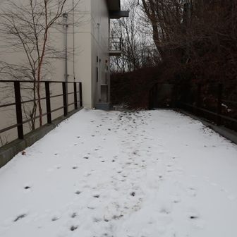 建物の裏を通ります