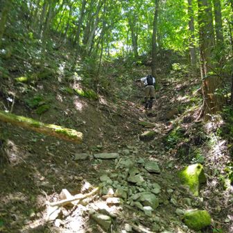谷筋のルートは終盤にかけて急峻になるパターンですね💦
もうすぐ作礼山登山口🅿から旧キャンプ場に繋がる管理道に出たら奥作礼の周回ルートは終わりです。