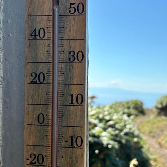 16度、意外と高い