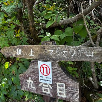 ９合目。すでにひとりで激痛に耐えつつ