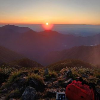 アブに好かれる